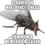 Fly transparent | I LANDED ON MIKE PENCE'S HEAD; I AM NOW A MEME AND A LEGEND | image tagged in fly transparent | made w/ Imgflip meme maker
