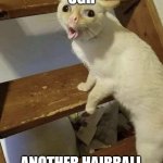 Hairball Cat | UGH; ANOTHER HAIRBALL | image tagged in hairball cat | made w/ Imgflip meme maker