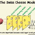 Covid-19 swiss cheese model meme