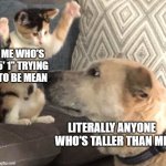 intimidating kitty | ME WHO'S 5' 1" TRYING TO BE MEAN; LITERALLY ANYONE WHO'S TALLER THAN ME | image tagged in intimidating kitty,short | made w/ Imgflip meme maker