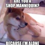Flirting Doge | ARE YOU A SHOP MANNEQUIN? BECAUSE I'M ALONE | image tagged in flirting doge | made w/ Imgflip meme maker