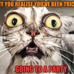 Horrified Feline | THE MOMENT YOU REALISE YOU'VE BEEN TRICKED INTO .... GOING TO A PARTY | image tagged in horrified feline | made w/ Imgflip meme maker