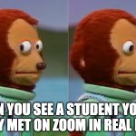 Seeing Zoom Student IRL | WHEN YOU SEE A STUDENT YOU'VE ONLY MET ON ZOOM IN REAL LIFE | image tagged in nervous monkey hd,teaching,zoom | made w/ Imgflip meme maker