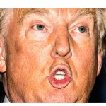 Trump Mouth