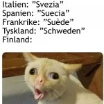 Word! | Norge: ”Sverige”
England: ”Sweden”
Italien: ”Svezia”
Spanien: ”Suecia”
Frankrike: ”Suède”
Tyskland: ”Schweden”
Finland: | image tagged in i can has cheezburger cat | made w/ Imgflip meme maker