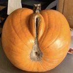 Female pumpkin