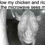 Daeodon at door meme | How my chicken and rice in the microwave sees me: | image tagged in daeodon at the door,memes,food | made w/ Imgflip meme maker