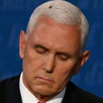 Pence Black Flies Matter