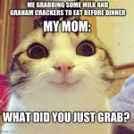 I just wanted graham crackers- | ME GRABBING SOME MILK AND GRAHAM CRACKERS TO EAT BEFORE DINNER; MY MOM:; WHAT DID YOU JUST GRAB? | image tagged in cats big eyes | made w/ Imgflip meme maker