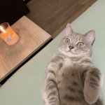 Lying Cat with Candle