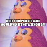 Bruh for real? | WHEN YOUR PARENTS WAKE YOU UP WHEN ITS NOT A SCHOOL DAY | image tagged in bruh for real | made w/ Imgflip meme maker