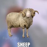 Sheep meme