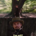 You will? Leo meme
