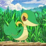 Snivy wont take this!