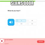 SLAMS DOOR; MOM: | image tagged in duolingo | made w/ Imgflip meme maker