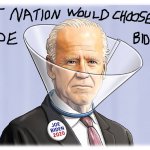 BIDEN FOOL