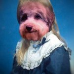 dog face | image tagged in dog face,puppy,dog,dogs,portrait,pictures | made w/ Imgflip meme maker