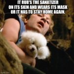 REAL TALK!!!!!!!!!!! | IT RUB'S THE SANATIZER ON ITS SKIN AND WEARS ITS MASK OR IT HAS TO STAY HOME AGAIN. | image tagged in buffalo bill | made w/ Imgflip meme maker