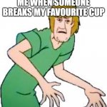 shagg | ME WHEN SOMEONE BREAKS MY FAVOURITE CUP | image tagged in shaggy angy | made w/ Imgflip meme maker