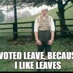 Voting for leaves