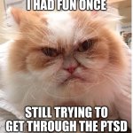 cat | I HAD FUN ONCE; STILL TRYING TO GET THROUGH THE PTSD | image tagged in new grumpy cat | made w/ Imgflip meme maker