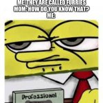 new template called professional spongebob | MOM: WHAT DO YOU CALL THEM? 
ME: THEY ARE CALLED FURRIES
MOM: HOW DO YOU KNOW THAT?
ME:; FURRY | image tagged in professional spongebob,memes,dank memes,furry | made w/ Imgflip meme maker