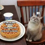 Cat likes their waffle | ME; GETTING FOLLOWED ON IMGFLIP; GETTING OVER 100 VIEWS; GETTING UPVOTE ON THIS MEME | image tagged in cat likes their waffle | made w/ Imgflip meme maker