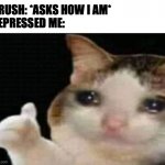 Crush asking me how I am | CRUSH: *ASKS HOW I AM*
DEPRESSED ME: | image tagged in crying cat thumbs up,crush,sad,rejection,cat,depressed | made w/ Imgflip meme maker
