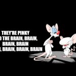 Pinky And The Brain | THEY'RE PINKY AND THE BRAIN, BRAIN, BRAIN, BRAIN
BRAIN, BRAIN, BRAIN, BRAIN | image tagged in pinky and the brain,memes | made w/ Imgflip meme maker