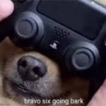 Bravo six going bark meme