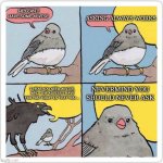 bird talk | ASKING ALWAYS WORKS; HEY CAN I HAVE SOME ADVISE; NEVERMIND YOU SHOULD NEVER ASK; I HEAR YOU NEED ADVISE, WELL THE ADVISE I HAVE FOR YOU TODAY IS THAT YOU..... | image tagged in bird talk | made w/ Imgflip meme maker