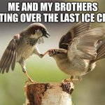 STFU | ME AND MY BROTHERS FIGHTING OVER THE LAST ICE CREAM | image tagged in stfu | made w/ Imgflip meme maker