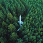 Forest Plane