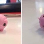 A piggy bank the size of my savings meme