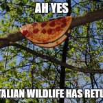 YUM | AH YES; THE ITALIAN WILDLIFE HAS RETURNED | image tagged in yum | made w/ Imgflip meme maker