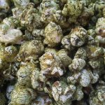 Herbal Green Popcorn