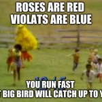 big bird running | ROSES ARE RED 
VIOLATS ARE BLUE; YOU RUN FAST 
BUT BIG BIRD WILL CATCH UP TO YOU | image tagged in big bird running | made w/ Imgflip meme maker