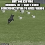 Plz be my friend | THAT ONE KID WHO REMINDS THE TEACHER ABOUT HOMEWORK TRYING TO MAKE FRIENDS | image tagged in gifs,cats,dog,school | made w/ Imgflip video-to-gif maker