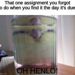 Birb | That one assignment you forgot to do when you find it the day it's due:; OH HENLO! | image tagged in henlo birb | made w/ Imgflip meme maker
