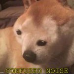 Confused doggo