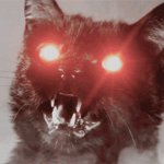 ANGER CAT