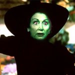 Wicked Pelosi witch
