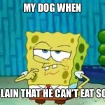 Questioning Spongebob | MY DOG WHEN; I EXPLAIN THAT HE CAN’T EAT SOCKS | image tagged in questioning spongebob,dogs,socks,pets | made w/ Imgflip meme maker