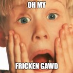 OMG | OH MY; FRICKEN GAWD | image tagged in home alone face | made w/ Imgflip meme maker