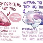 Justice for Blobfish