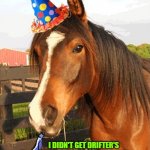 birthday horse | HAPPY BIRTHDAY, KAYLA! I DIDN'T GET DRIFTER'S PARTY HAT AND FAVOR IN THE MAIL, SO I PUT THEM ON ANOTHER HORSE AND SENT THIS PICTURE! | image tagged in birthday horse | made w/ Imgflip meme maker