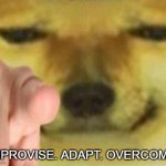 Improvise, adapt,overcome | IMPROVISE. ADAPT. OVERCOME. | image tagged in doge,cheems | made w/ Imgflip meme maker