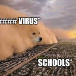 IKR | C##### VIRUS*; SCHOOLS* | image tagged in dust doge storm | made w/ Imgflip meme maker
