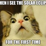 Suprised Cat | WHEN I SEE THE SOLAR ECLIPSE; FOR THE FIRST TIME | image tagged in suprised cat | made w/ Imgflip meme maker