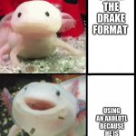 Axolotl | USING THE DRAKE FORMAT; USING AN AXOLOTL BECAUSE HE IS IN MINECRAFT | image tagged in axolotl | made w/ Imgflip meme maker